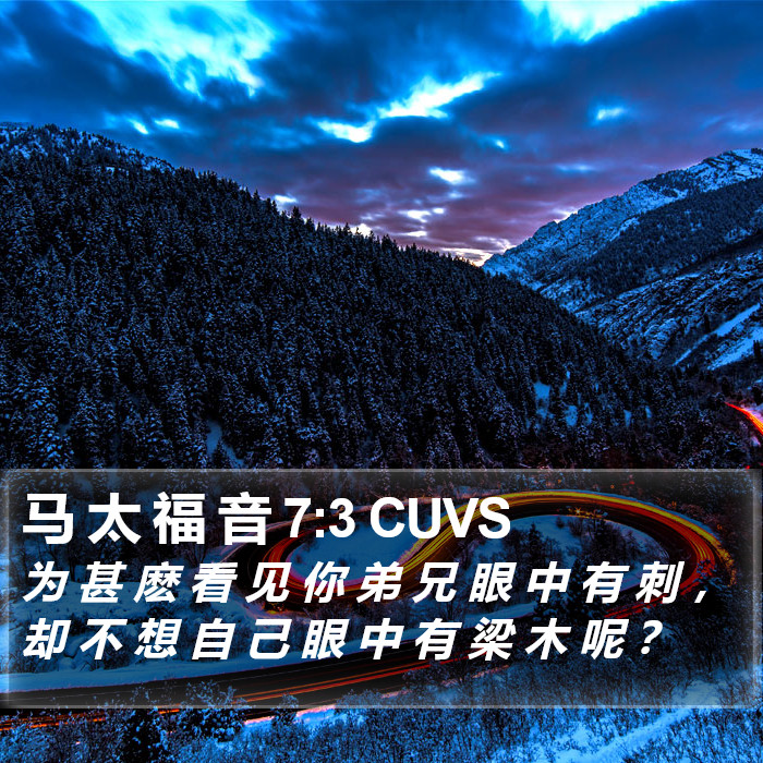 马 太 福 音 7:3 CUVS Bible Study