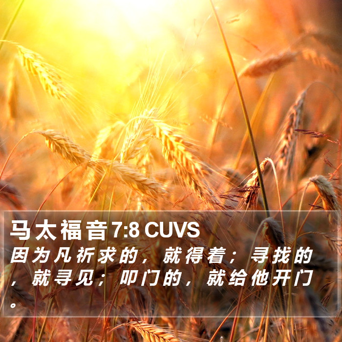 马 太 福 音 7:8 CUVS Bible Study