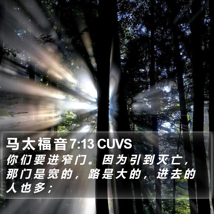 马 太 福 音 7:13 CUVS Bible Study