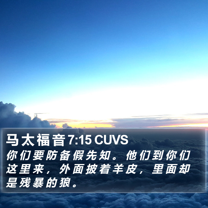 马 太 福 音 7:15 CUVS Bible Study