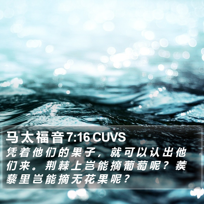 马 太 福 音 7:16 CUVS Bible Study