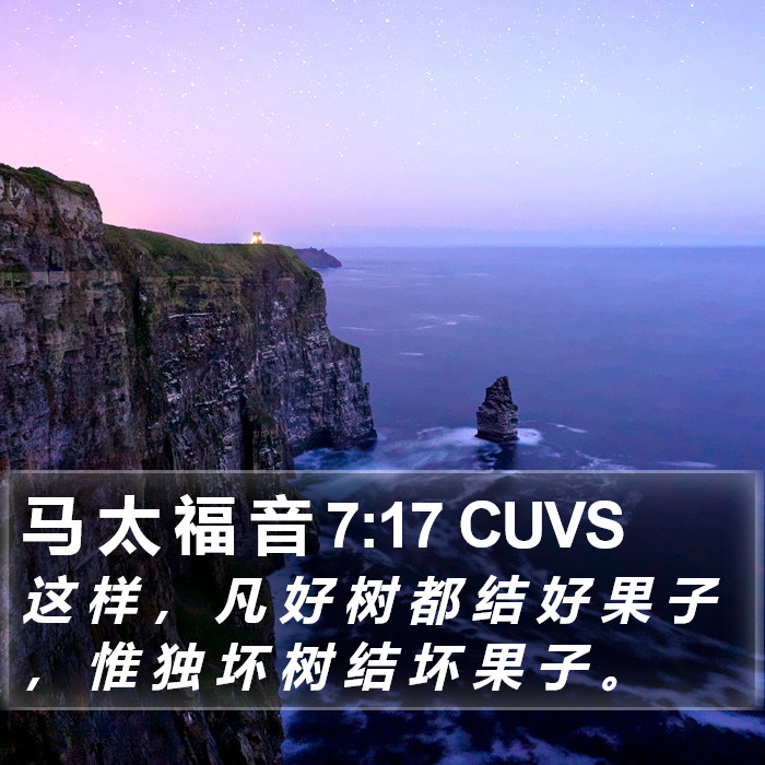 马 太 福 音 7:17 CUVS Bible Study