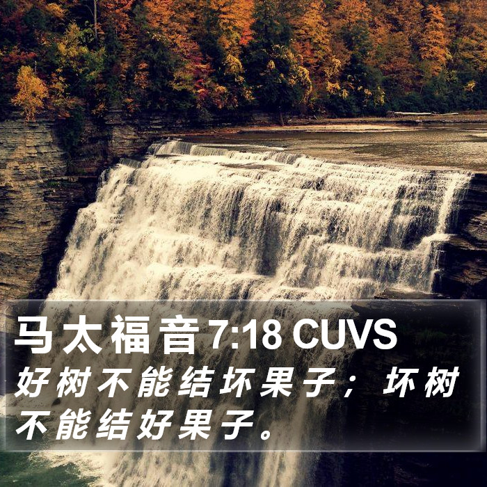马 太 福 音 7:18 CUVS Bible Study