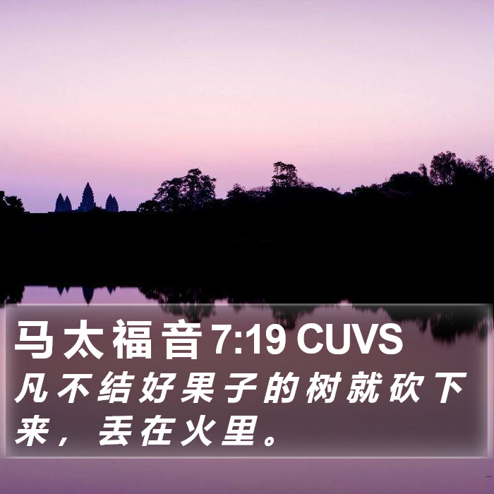 马 太 福 音 7:19 CUVS Bible Study