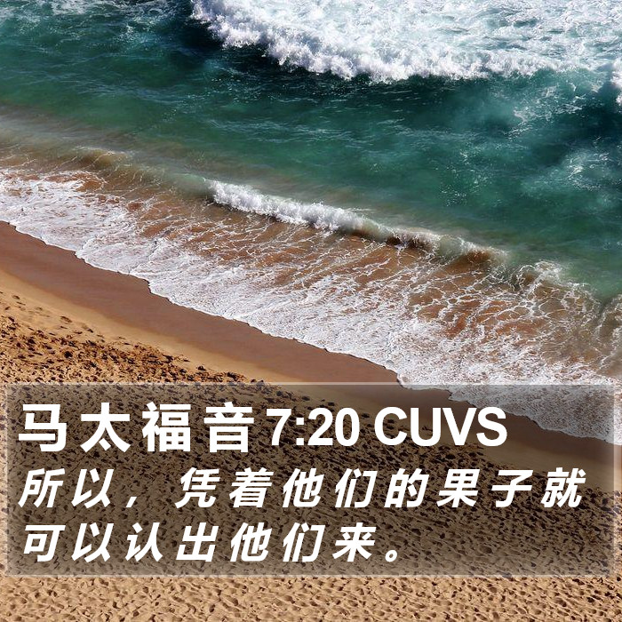 马 太 福 音 7:20 CUVS Bible Study