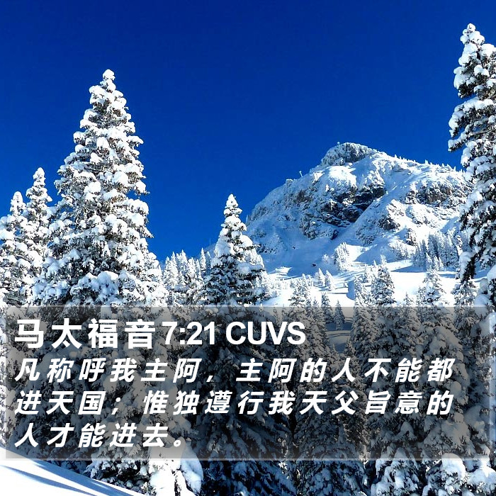 马 太 福 音 7:21 CUVS Bible Study