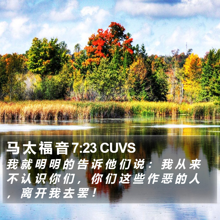 马 太 福 音 7:23 CUVS Bible Study