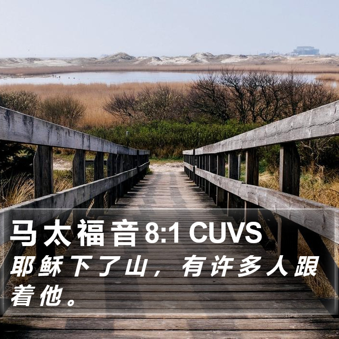 马 太 福 音 8:1 CUVS Bible Study