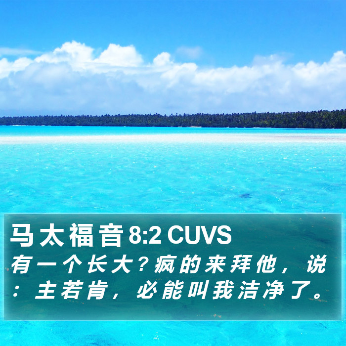 马 太 福 音 8:2 CUVS Bible Study