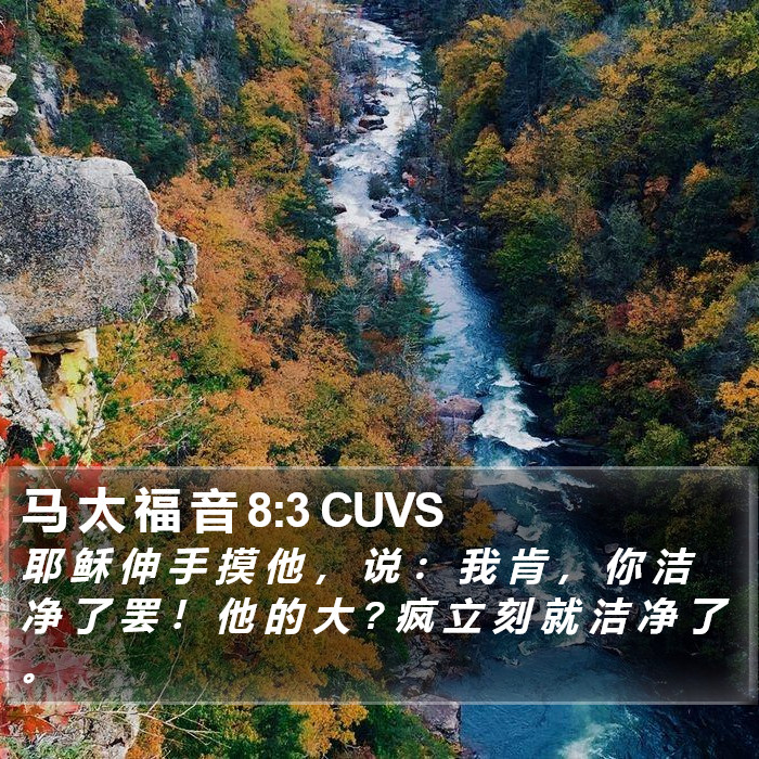 马 太 福 音 8:3 CUVS Bible Study