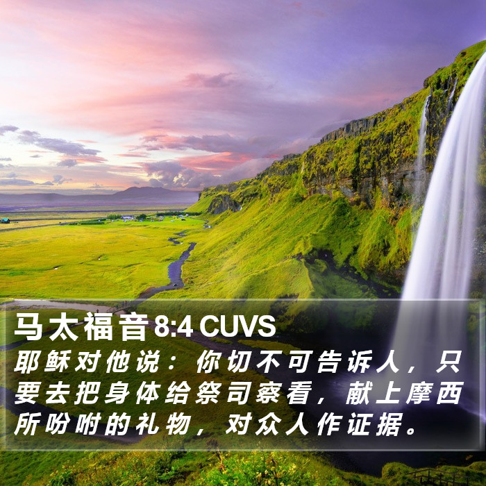 马 太 福 音 8:4 CUVS Bible Study