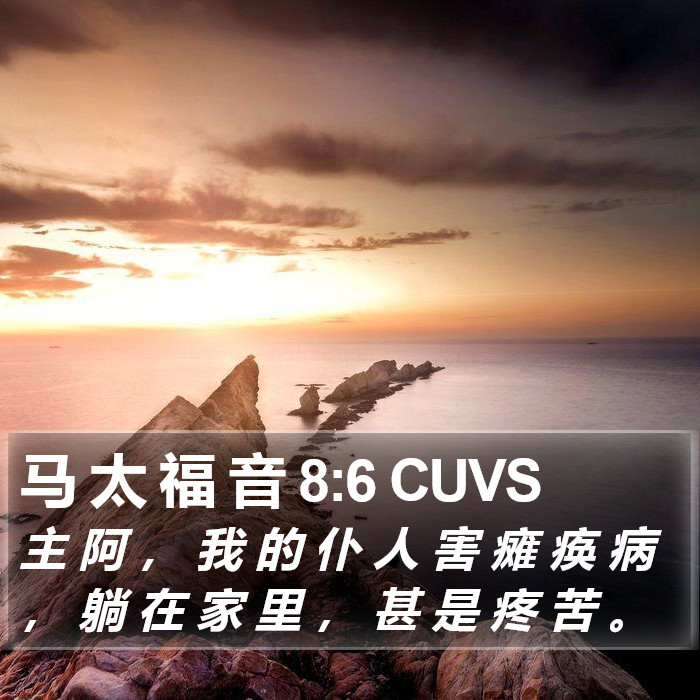 马 太 福 音 8:6 CUVS Bible Study