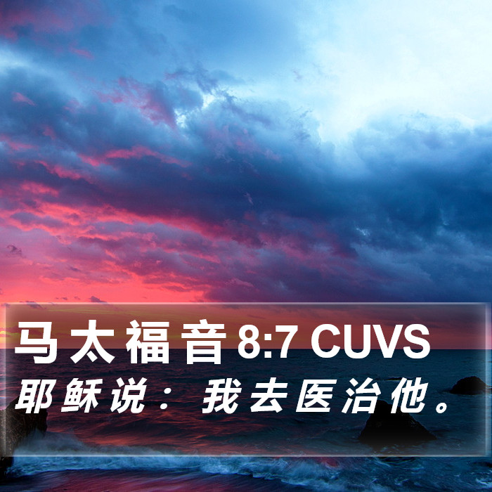 马 太 福 音 8:7 CUVS Bible Study