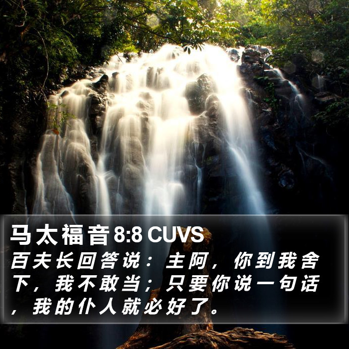 马 太 福 音 8:8 CUVS Bible Study