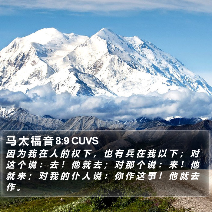 马 太 福 音 8:9 CUVS Bible Study