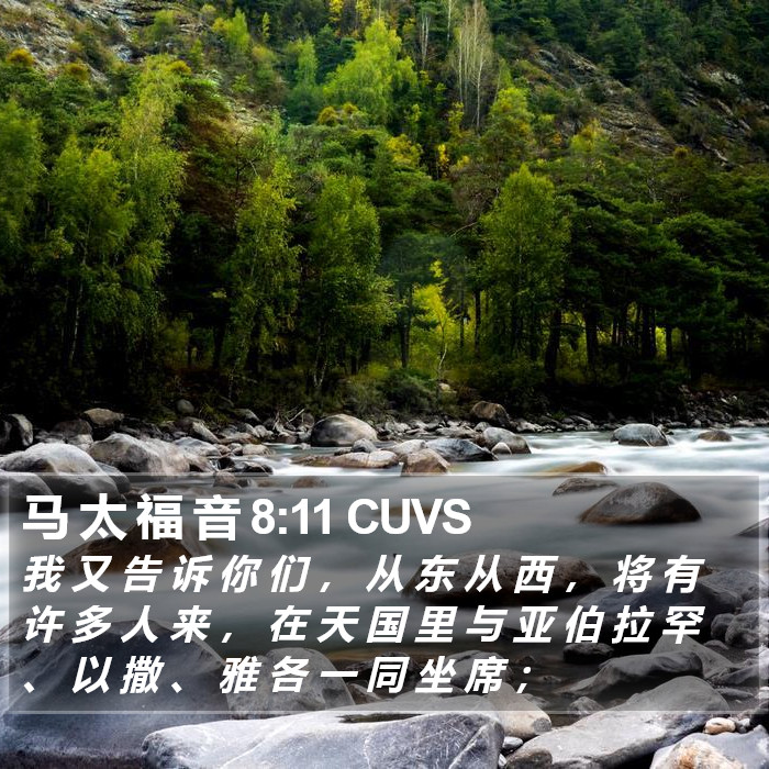 马 太 福 音 8:11 CUVS Bible Study