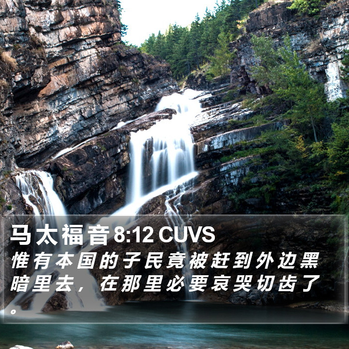 马 太 福 音 8:12 CUVS Bible Study