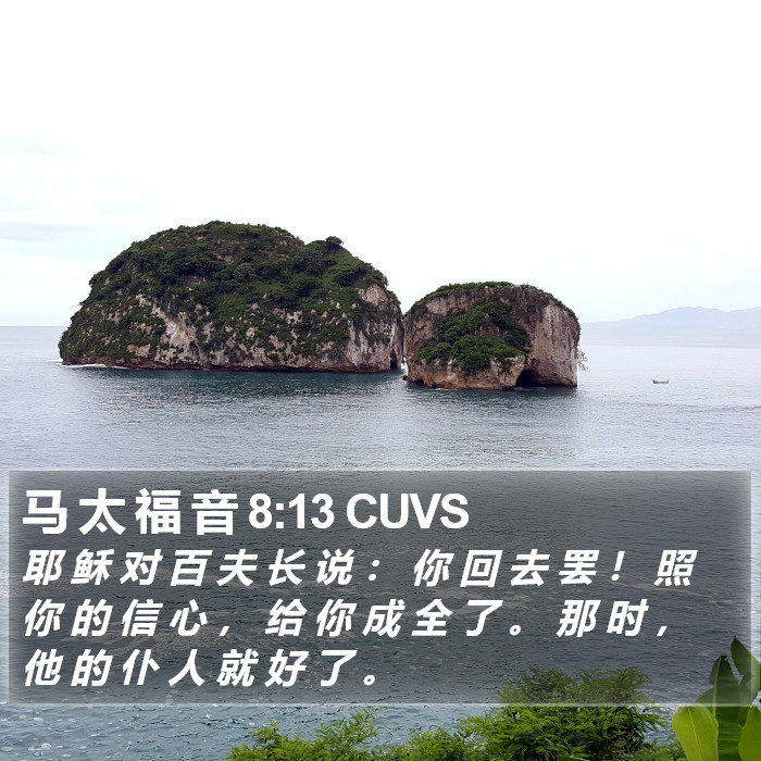 马 太 福 音 8:13 CUVS Bible Study