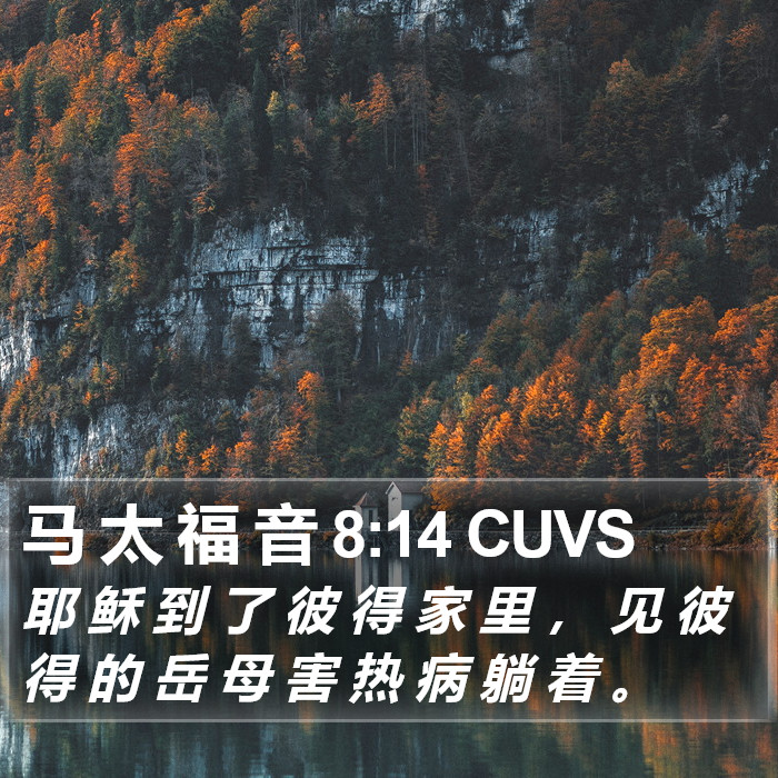 马 太 福 音 8:14 CUVS Bible Study