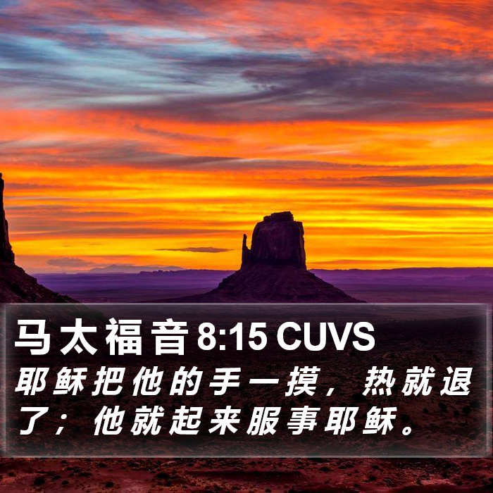 马 太 福 音 8:15 CUVS Bible Study