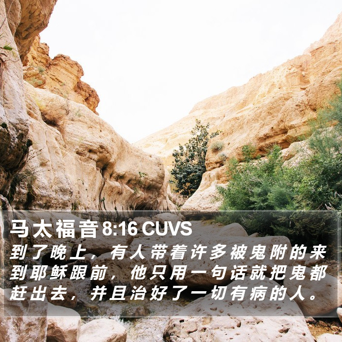 马 太 福 音 8:16 CUVS Bible Study