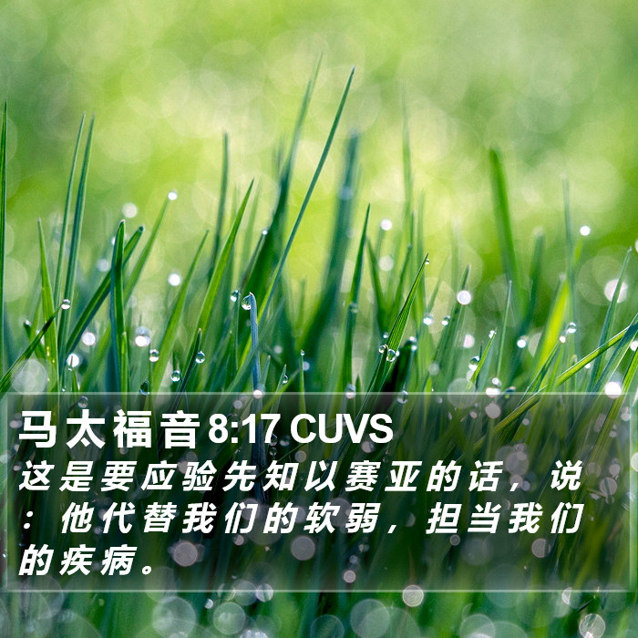马 太 福 音 8:17 CUVS Bible Study
