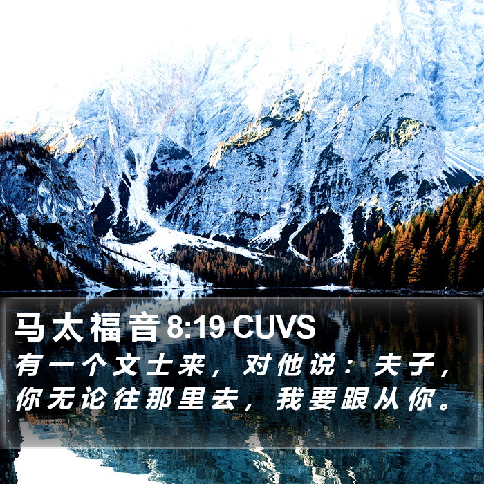 马 太 福 音 8:19 CUVS Bible Study