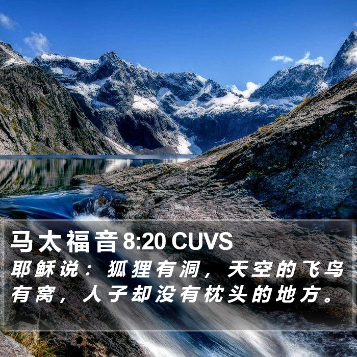 马 太 福 音 8:20 CUVS Bible Study