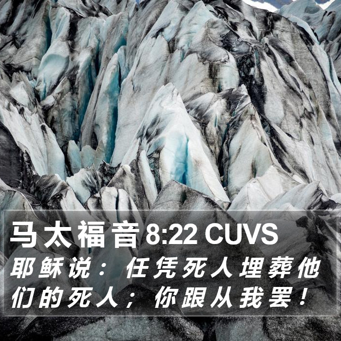 马 太 福 音 8:22 CUVS Bible Study