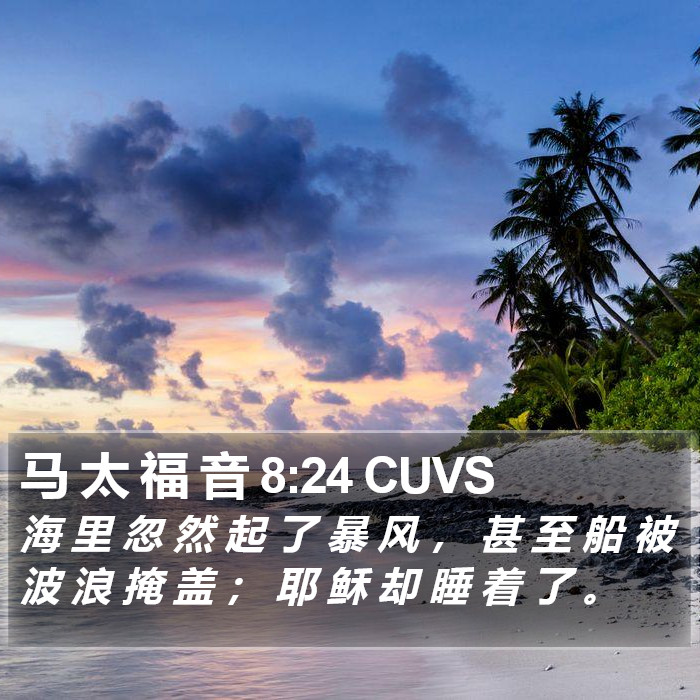 马 太 福 音 8:24 CUVS Bible Study
