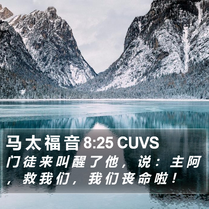 马 太 福 音 8:25 CUVS Bible Study