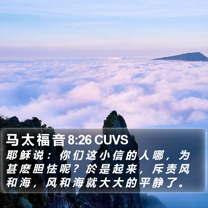 马 太 福 音 8:26 CUVS Bible Study