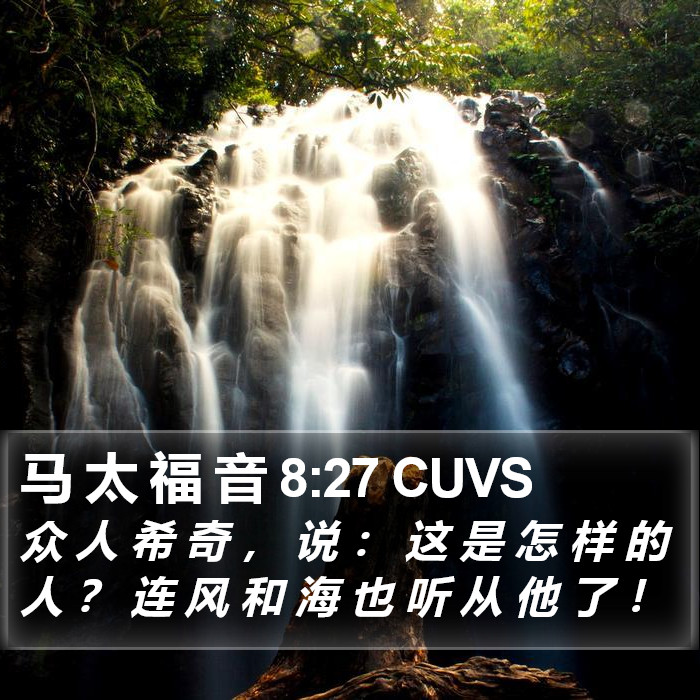 马 太 福 音 8:27 CUVS Bible Study