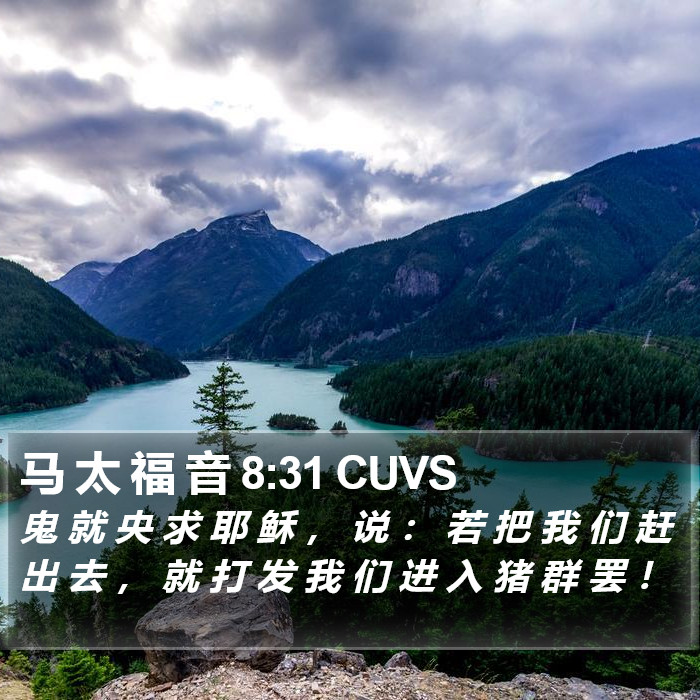 马 太 福 音 8:31 CUVS Bible Study