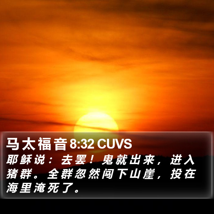 马 太 福 音 8:32 CUVS Bible Study