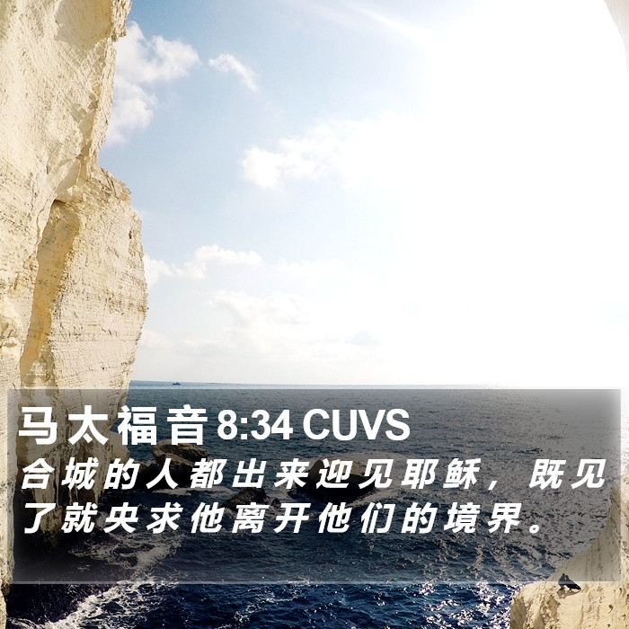 马 太 福 音 8:34 CUVS Bible Study