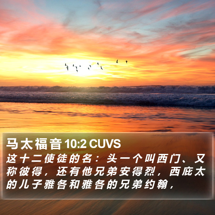 马 太 福 音 10:2 CUVS Bible Study