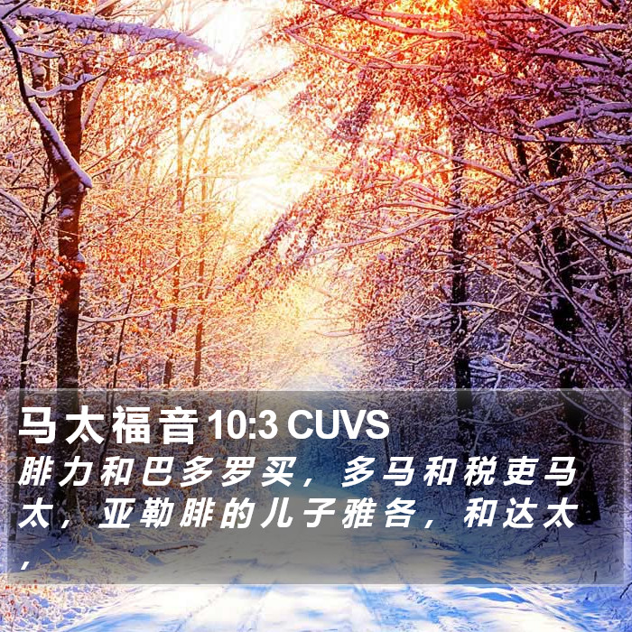 马 太 福 音 10:3 CUVS Bible Study