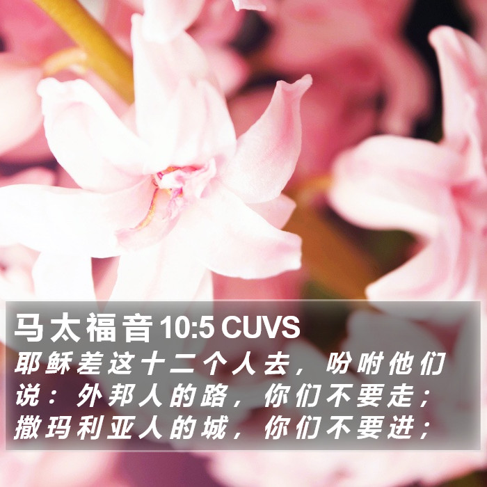 马 太 福 音 10:5 CUVS Bible Study