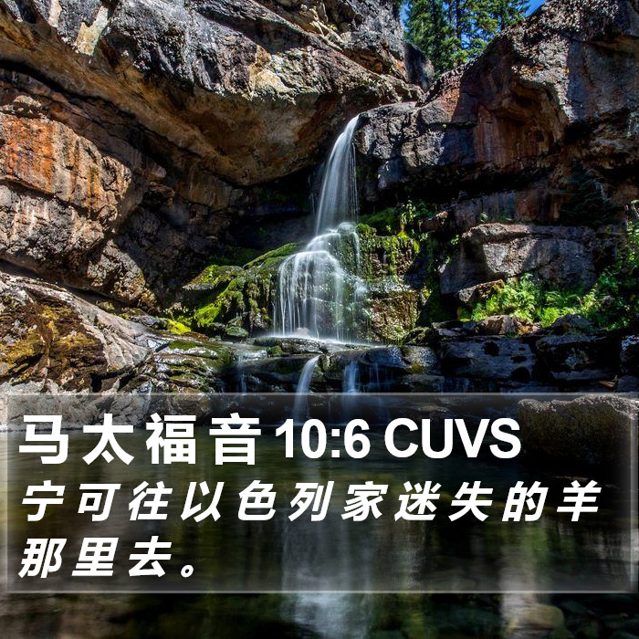 马 太 福 音 10:6 CUVS Bible Study