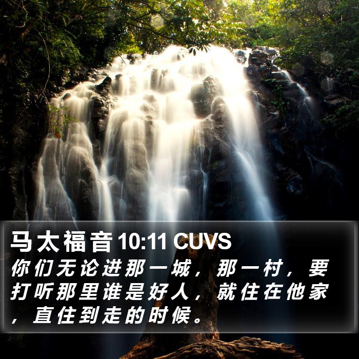 马 太 福 音 10:11 CUVS Bible Study