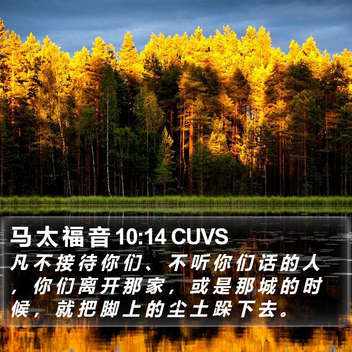 马 太 福 音 10:14 CUVS Bible Study