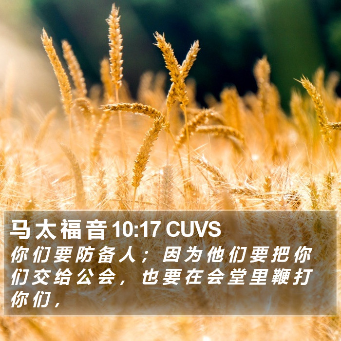 马 太 福 音 10:17 CUVS Bible Study