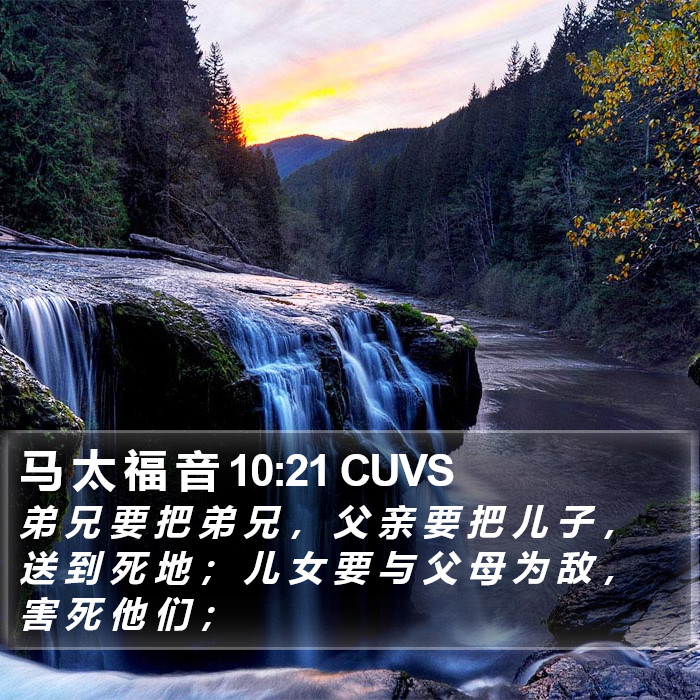 马 太 福 音 10:21 CUVS Bible Study