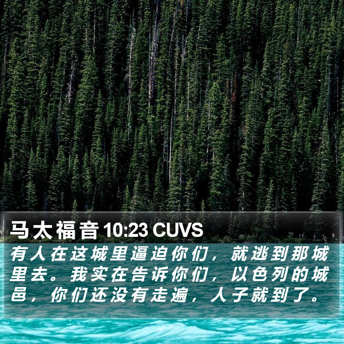 马 太 福 音 10:23 CUVS Bible Study