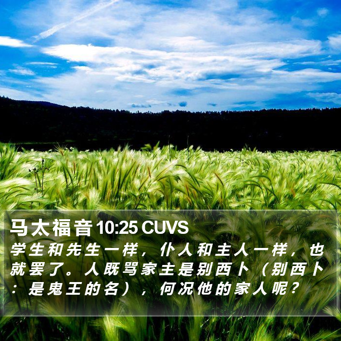 马 太 福 音 10:25 CUVS Bible Study