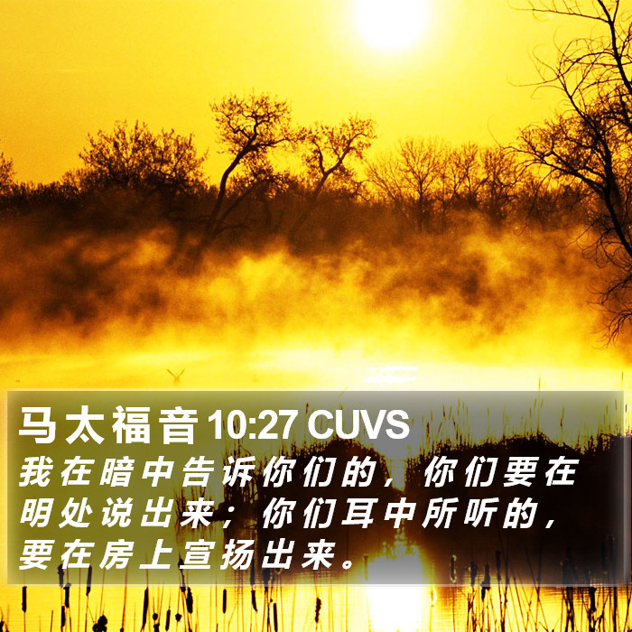 马 太 福 音 10:27 CUVS Bible Study