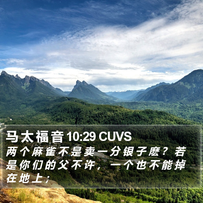 马 太 福 音 10:29 CUVS Bible Study