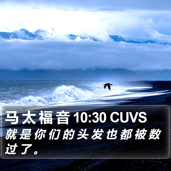 马 太 福 音 10:30 CUVS Bible Study