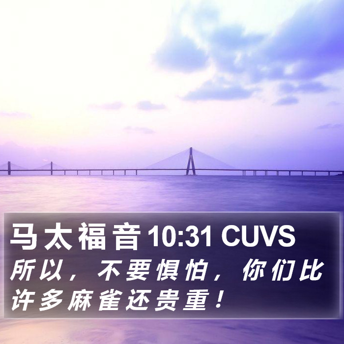 马 太 福 音 10:31 CUVS Bible Study